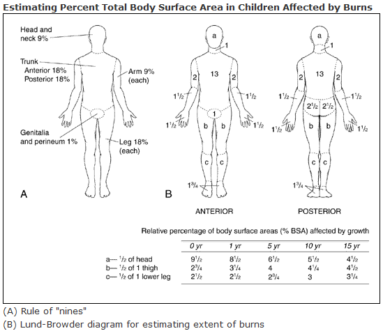 Figure 11.2 — Lund-Browder chart for age-adjusted burn surface area.