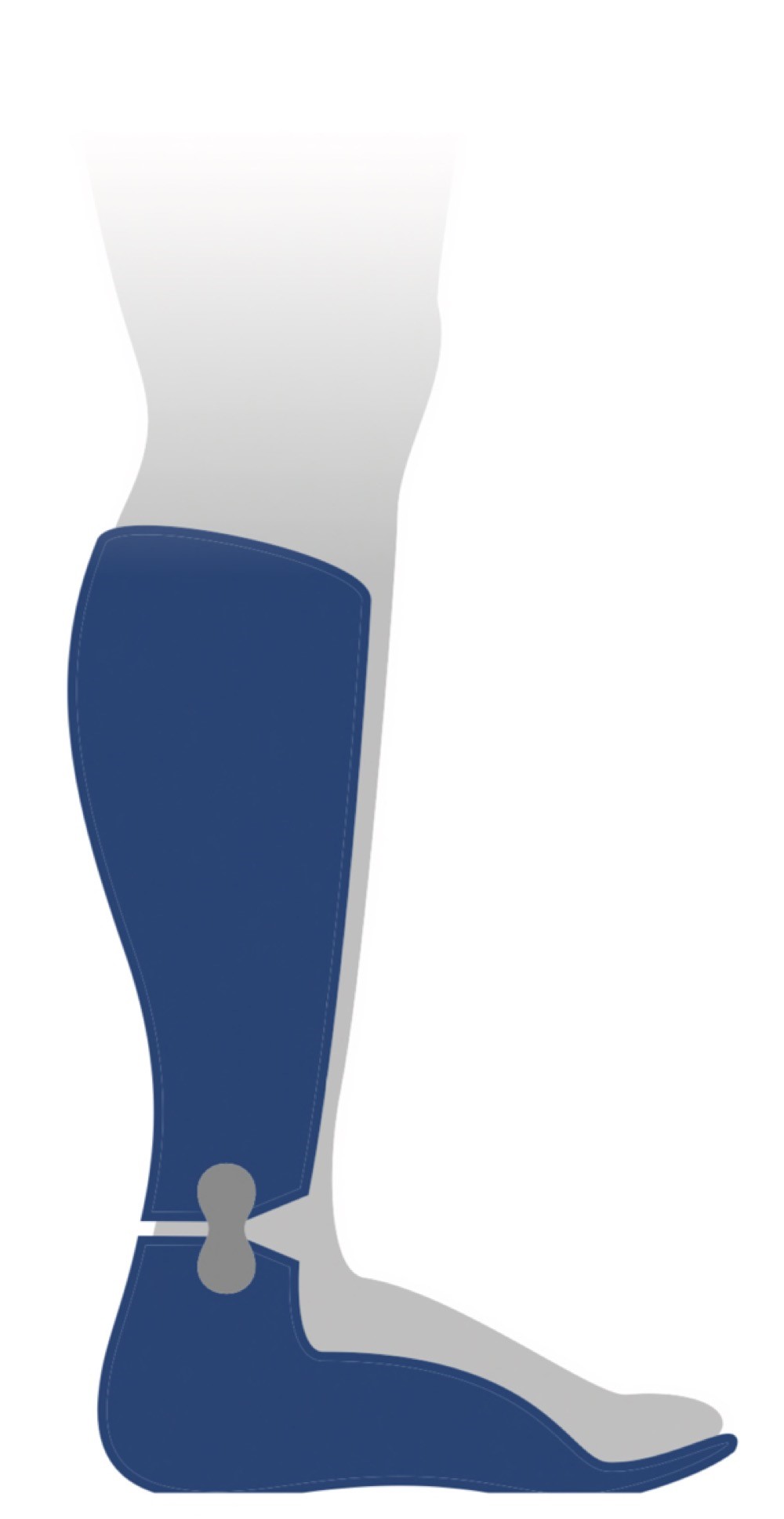 Figure 13.2c — Hinged AFO