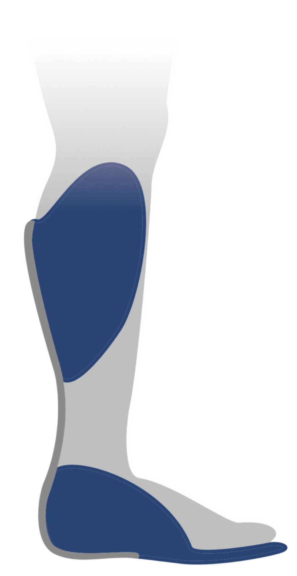 Figure 13.2b — Posterior Leaf Spring (PLS) AFO