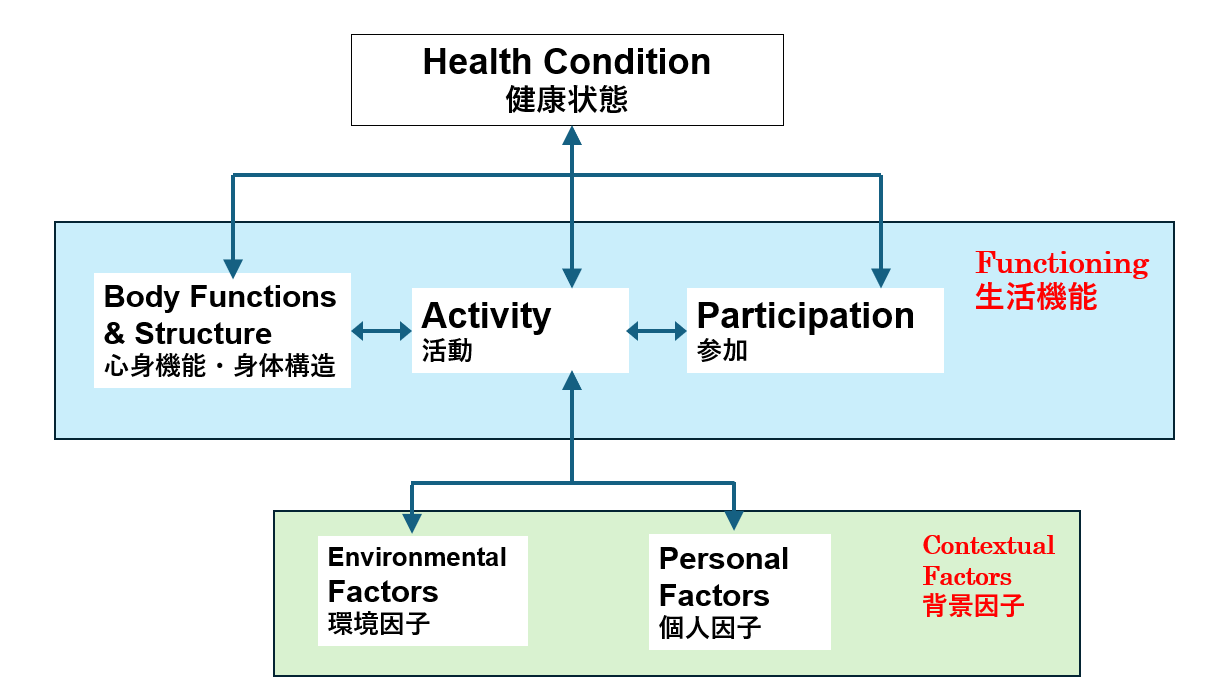 Figure 8.2 — The official WHO ICF biopsychosocial model: bidirectional arrows linking Health condition (ICD) with Body Functions and Structures, Activities, and Participation, modified by Environmental and Personal contextual factors — the canonical 2001 framework that anchors every rehabilitation outcome scale